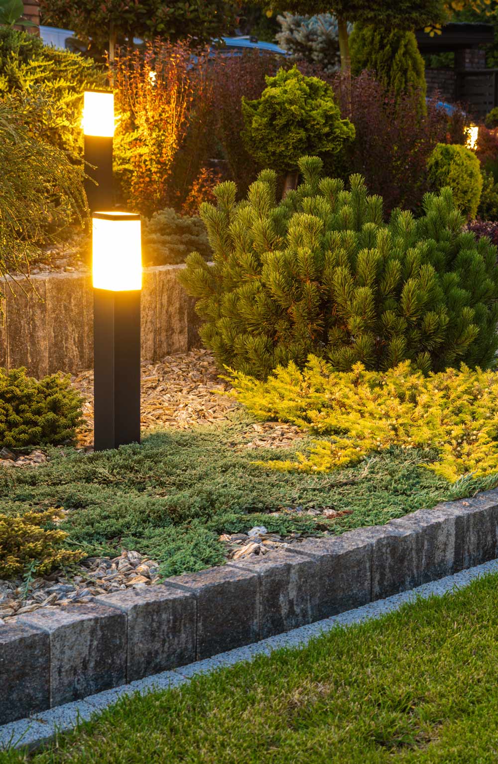 Professional LED landscape lighting illuminating plants and stone borders in Tucson